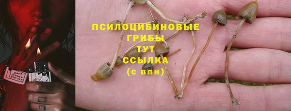 герыч Снежногорск