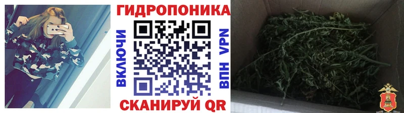 Каннабис White Widow  Купить где  Воронеж 